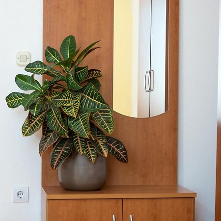 Apartments Vila Adrijana & Fitness Studio Wolf Bv Baška Voda Εξωτερικό φωτογραφία