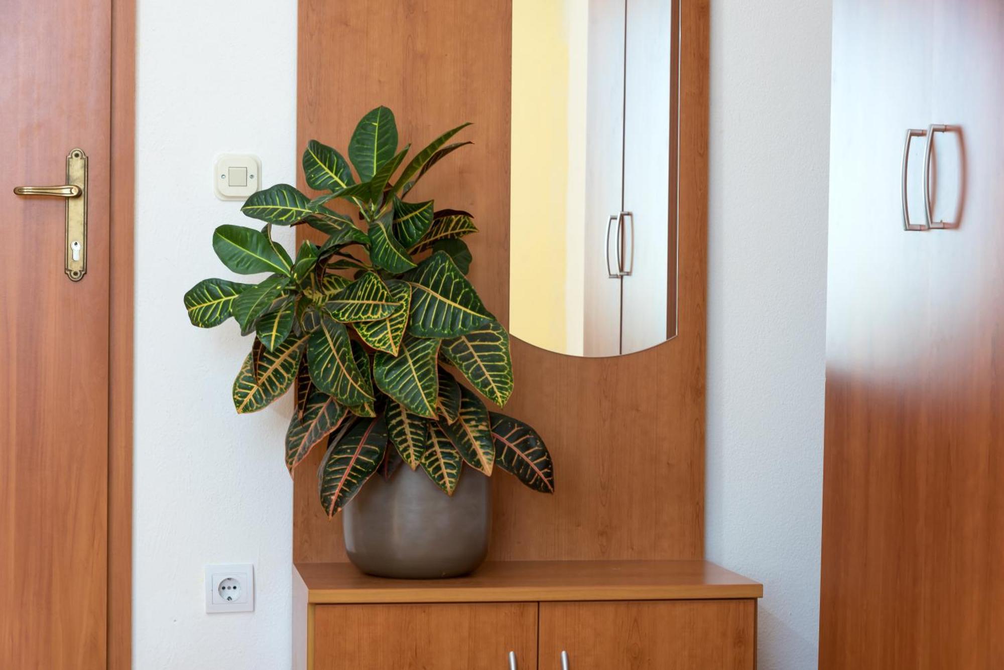 Apartments Vila Adrijana & Fitness Studio Wolf Bv Baška Voda Εξωτερικό φωτογραφία